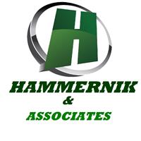 Hammernik & Associates